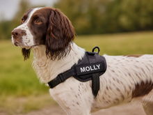 Load image into Gallery viewer, Custom Dog Harness Name Patches — Set of 2
